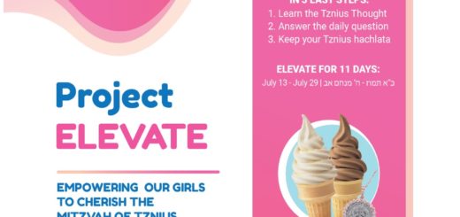 Ad for Project Elevate 11 Day Tznius Program